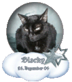 Klick zu den Erinnerungen an Blacky