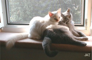 Joschi und Rani