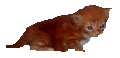 3 Wochen