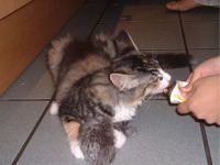 Mmmmmh, lecker!!!!