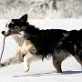 001_staffelegg